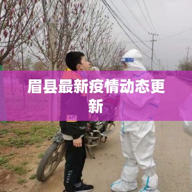 眉縣最新疫情動態(tài)更新