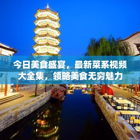 今日美食盛宴，最新菜系視頻大全集，領(lǐng)略美食無(wú)窮魅力
