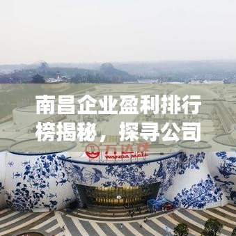 南昌企業(yè)盈利排行榜揭秘，探尋公司成功的背后秘訣！
