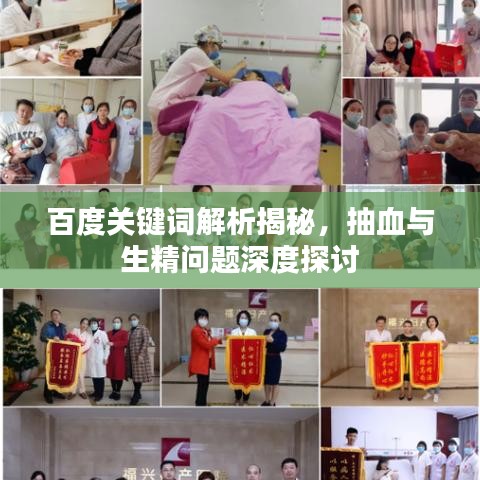 百度關(guān)鍵詞解析揭秘，抽血與生精問(wèn)題深度探討