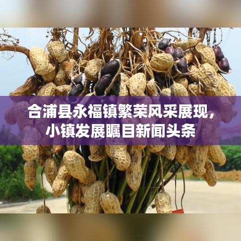 合浦縣永福鎮(zhèn)繁榮風(fēng)采展現(xiàn)，小鎮(zhèn)發(fā)展矚目新聞?lì)^條