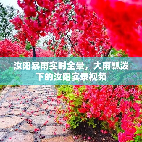 汝陽暴雨實時全景，大雨瓢潑下的汝陽實錄視頻