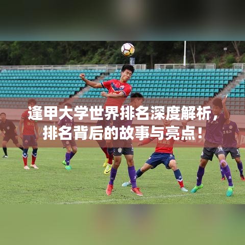 逢甲大學(xué)世界排名深度解析，排名背后的故事與亮點(diǎn)！