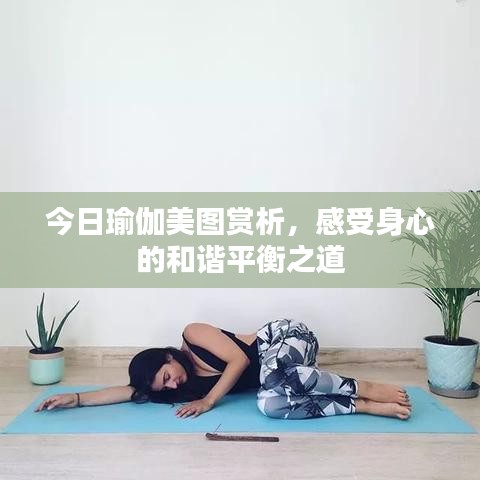 今日瑜伽美圖賞析，感受身心的和諧平衡之道