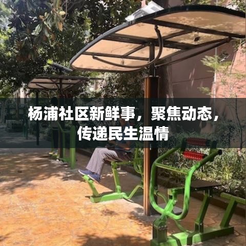 楊浦社區(qū)新鮮事，聚焦動(dòng)態(tài)，傳遞民生溫情