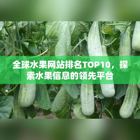全球水果網(wǎng)站排名TOP10，探索水果信息的領(lǐng)先平臺(tái)