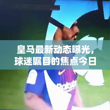 皇馬最新動(dòng)態(tài)曝光，球迷矚目的焦點(diǎn)今日曬票