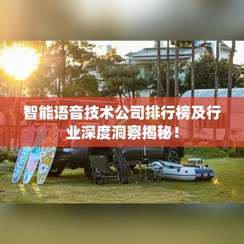 智能語音技術(shù)公司排行榜及行業(yè)深度洞察揭秘！