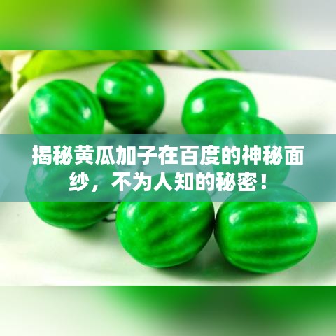 揭秘黃瓜加子在百度的神秘面紗，不為人知的秘密！