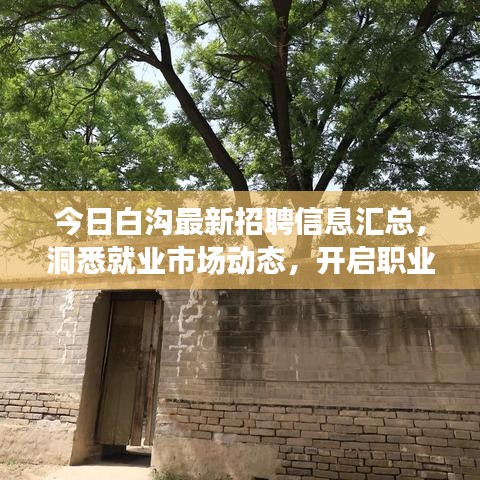 今日白溝最新招聘信息匯總，洞悉就業(yè)市場動態(tài)，開啟職業(yè)新旅程