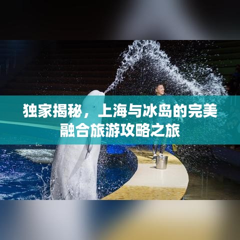 獨(dú)家揭秘，上海與冰島的完美融合旅游攻略之旅