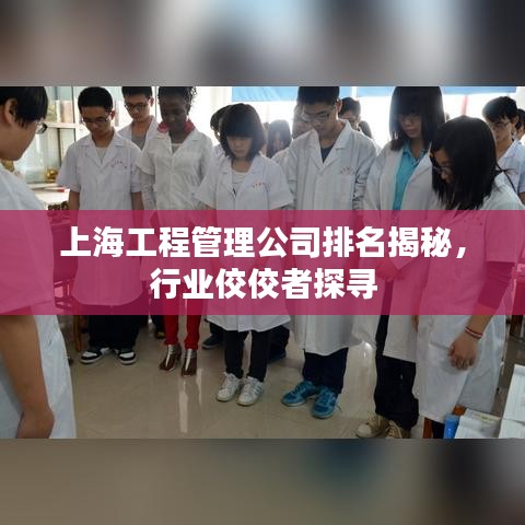上海工程管理公司排名揭秘，行業(yè)佼佼者探尋