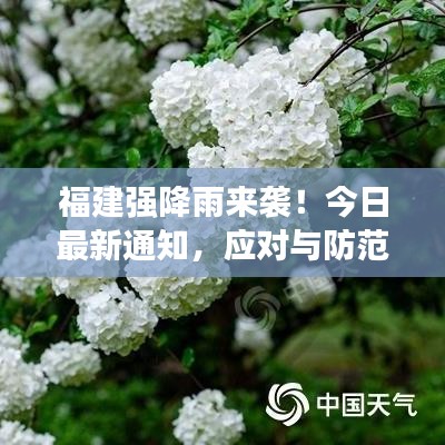 福建強(qiáng)降雨來(lái)襲！今日最新通知，應(yīng)對(duì)與防范攻略大揭秘