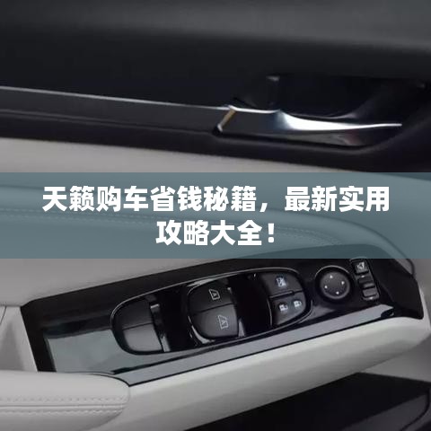天籟購車省錢秘籍，最新實用攻略大全！