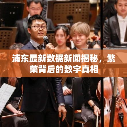 浦東最新數(shù)據(jù)新聞揭秘，繁榮背后的數(shù)字真相