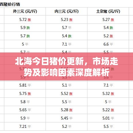 北海今日豬價(jià)更新，市場(chǎng)走勢(shì)及影響因素深度解析