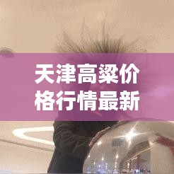 天津高粱價格行情最新走勢解析