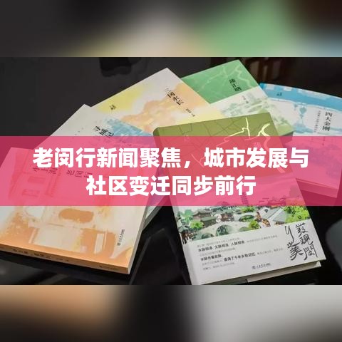 老閔行新聞聚焦，城市發(fā)展與社區(qū)變遷同步前行