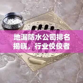 地漏防水公司排名揭曉，行業(yè)佼佼者深度解析