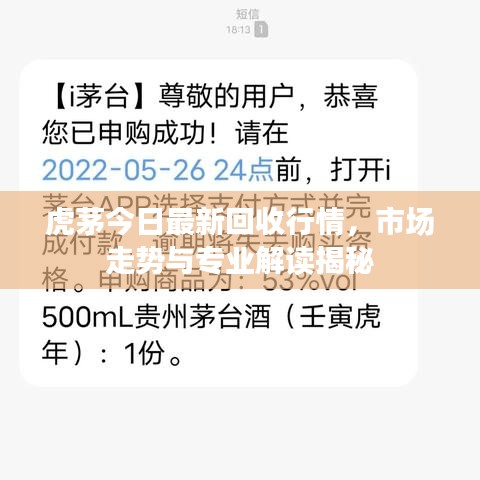 虎茅今日最新回收行情，市場走勢與專業(yè)解讀揭秘