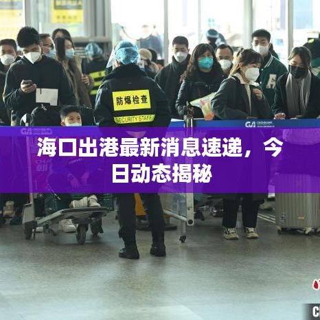 海口出港最新消息速遞，今日動態(tài)揭秘