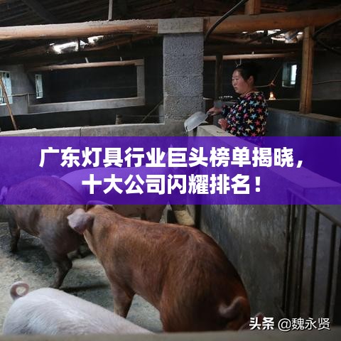 廣東燈具行業(yè)巨頭榜單揭曉，十大公司閃耀排名！