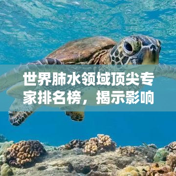 世界肺水領(lǐng)域頂尖專家排名榜，揭示影響力與貢獻(xiàn)的權(quán)威榜單