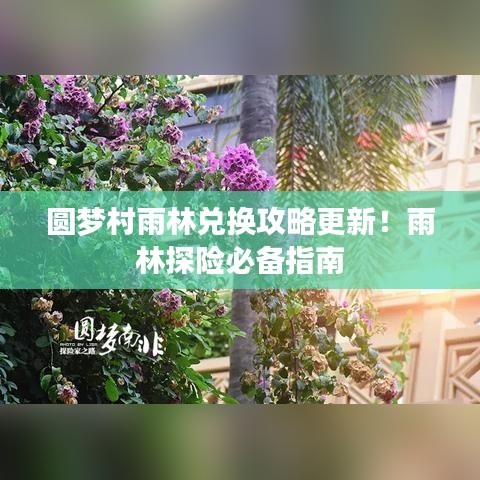 圓夢村雨林兌換攻略更新！雨林探險(xiǎn)必備指南