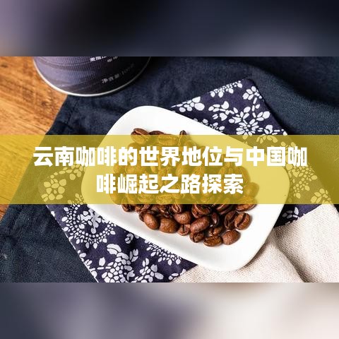 云南咖啡的世界地位與中國(guó)咖啡崛起之路探索