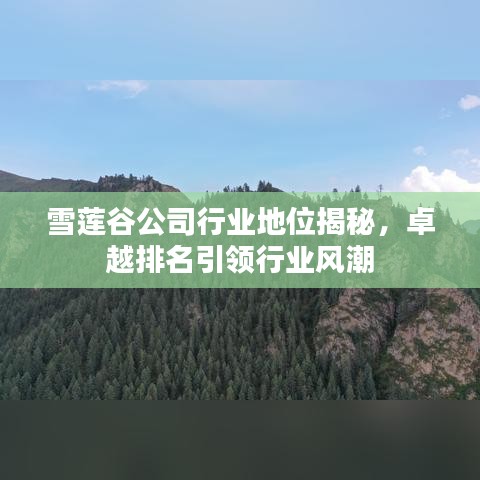 雪蓮谷公司行業(yè)地位揭秘，卓越排名引領(lǐng)行業(yè)風(fēng)潮
