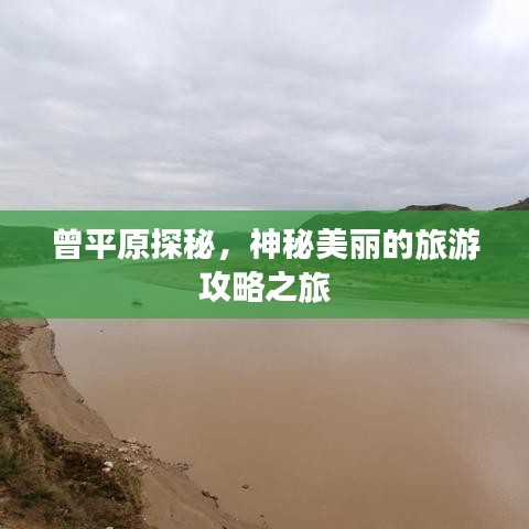 曾平原探秘，神秘美麗的旅游攻略之旅