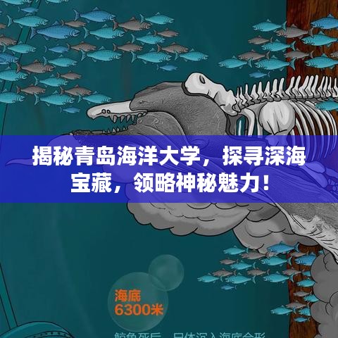 揭秘青島海洋大學(xué)，探尋深海寶藏，領(lǐng)略神秘魅力！
