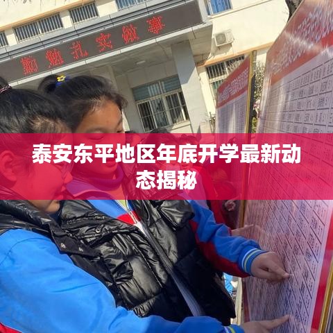 泰安東平地區(qū)年底開學最新動態(tài)揭秘