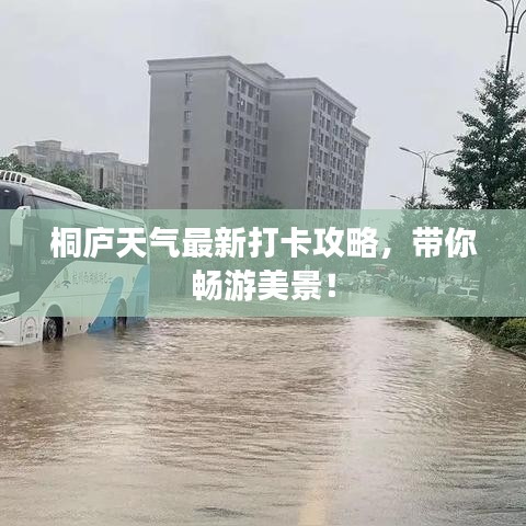 桐廬天氣最新打卡攻略，帶你暢游美景！