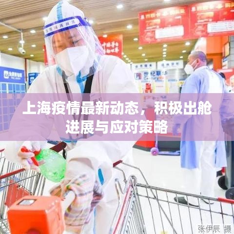 上海疫情最新動態(tài)，積極出艙進展與應對策略