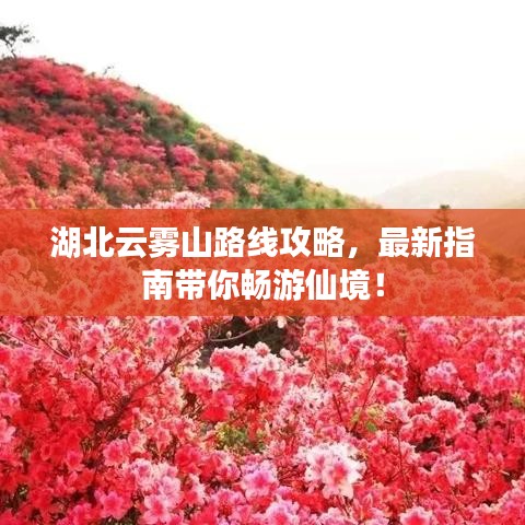 湖北云霧山路線攻略，最新指南帶你暢游仙境！