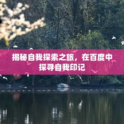 揭秘自我探索之旅，在百度中探尋自我印記