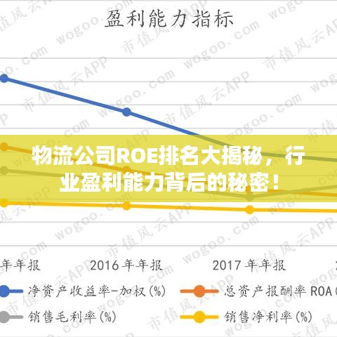 物流公司ROE排名大揭秘，行業(yè)盈利能力背后的秘密！