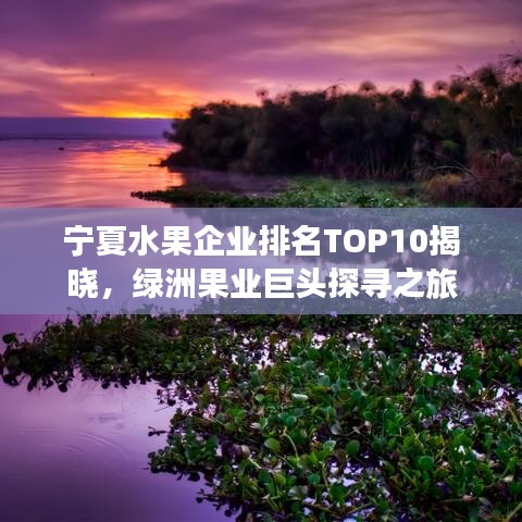 寧夏水果企業(yè)排名TOP10揭曉，綠洲果業(yè)巨頭探尋之旅