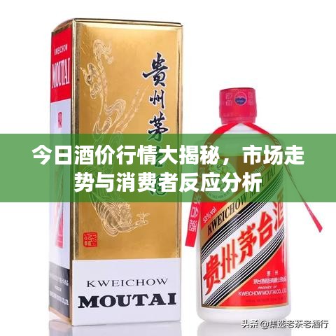 今日酒價(jià)行情大揭秘，市場(chǎng)走勢(shì)與消費(fèi)者反應(yīng)分析