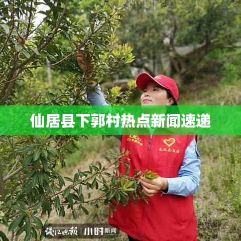 仙居縣下郭村熱點新聞速遞