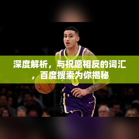 深度解析，與祝愿相反的詞匯，百度搜索為你揭秘