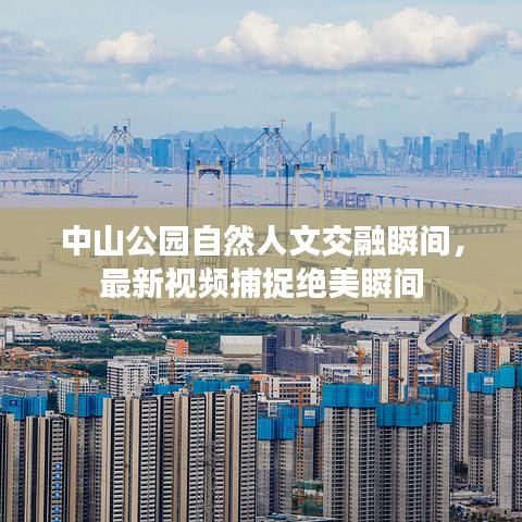 中山公園自然人文交融瞬間，最新視頻捕捉絕美瞬間