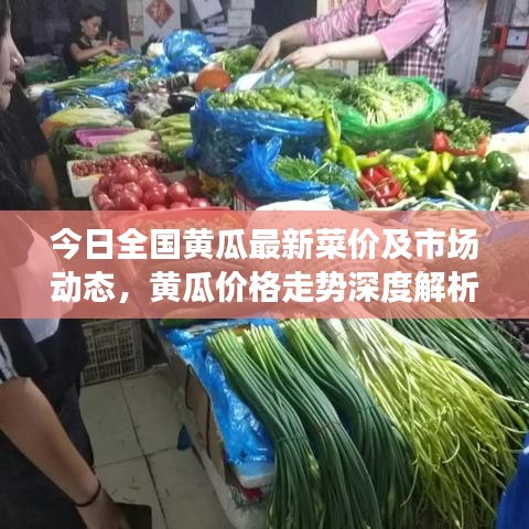 今日全國黃瓜最新菜價(jià)及市場動(dòng)態(tài)，黃瓜價(jià)格走勢(shì)深度解析