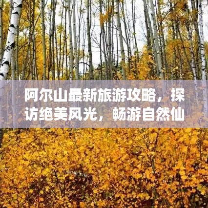 阿爾山最新旅游攻略，探訪絕美風(fēng)光，暢游自然仙境