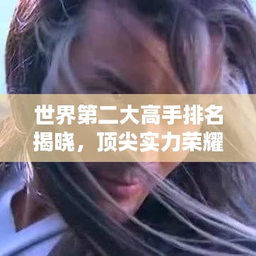 世界第二大高手排名揭曉，頂尖實(shí)力榮耀與風(fēng)采揭秘圖片欣賞