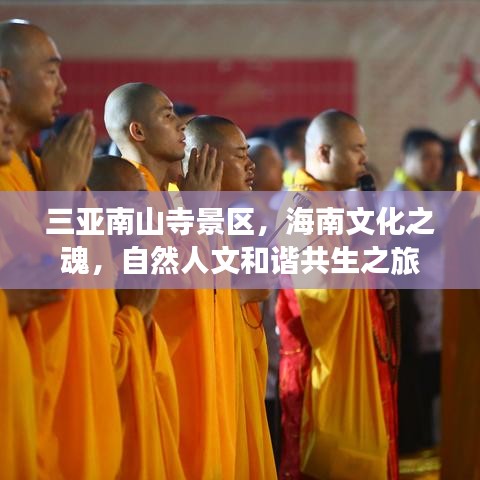三亞南山寺景區(qū)，海南文化之魂，自然人文和諧共生之旅