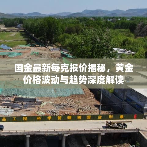 國金最新每克報價揭秘，黃金價格波動與趨勢深度解讀