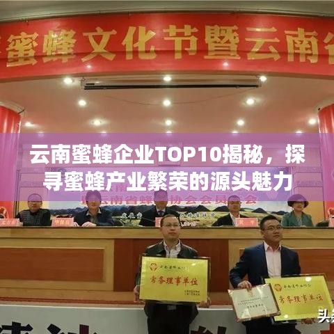 云南蜜蜂企業(yè)TOP10揭秘，探尋蜜蜂產(chǎn)業(yè)繁榮的源頭魅力