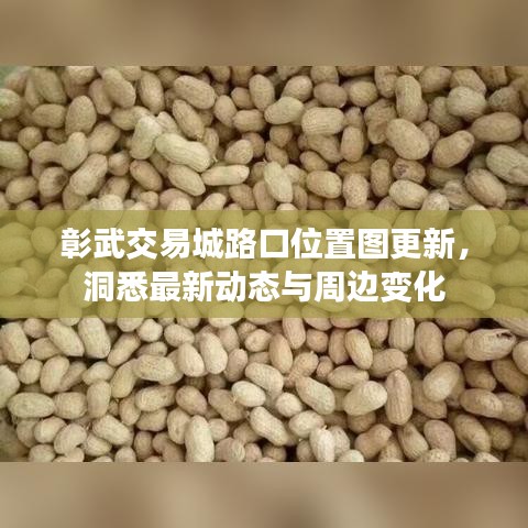 彰武交易城路口位置圖更新，洞悉最新動態(tài)與周邊變化